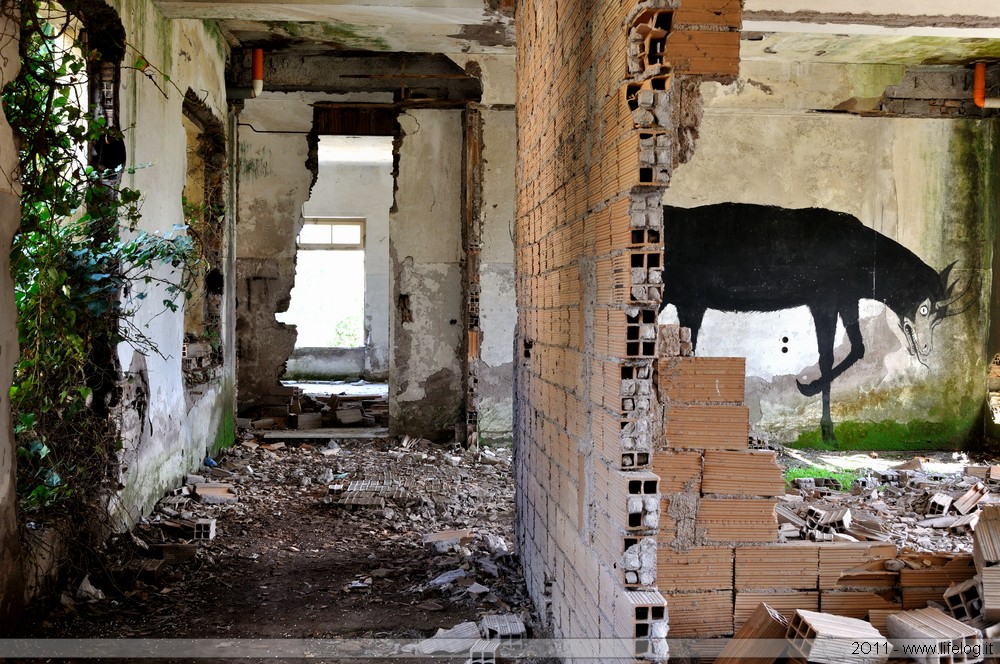 Abandoned orphanage