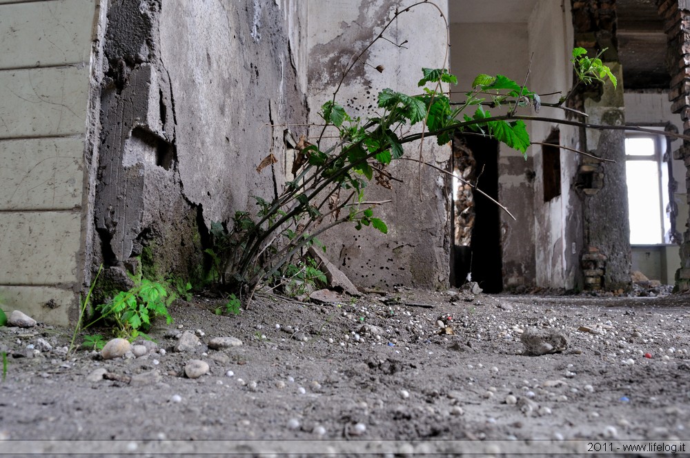 Abandoned orphanage