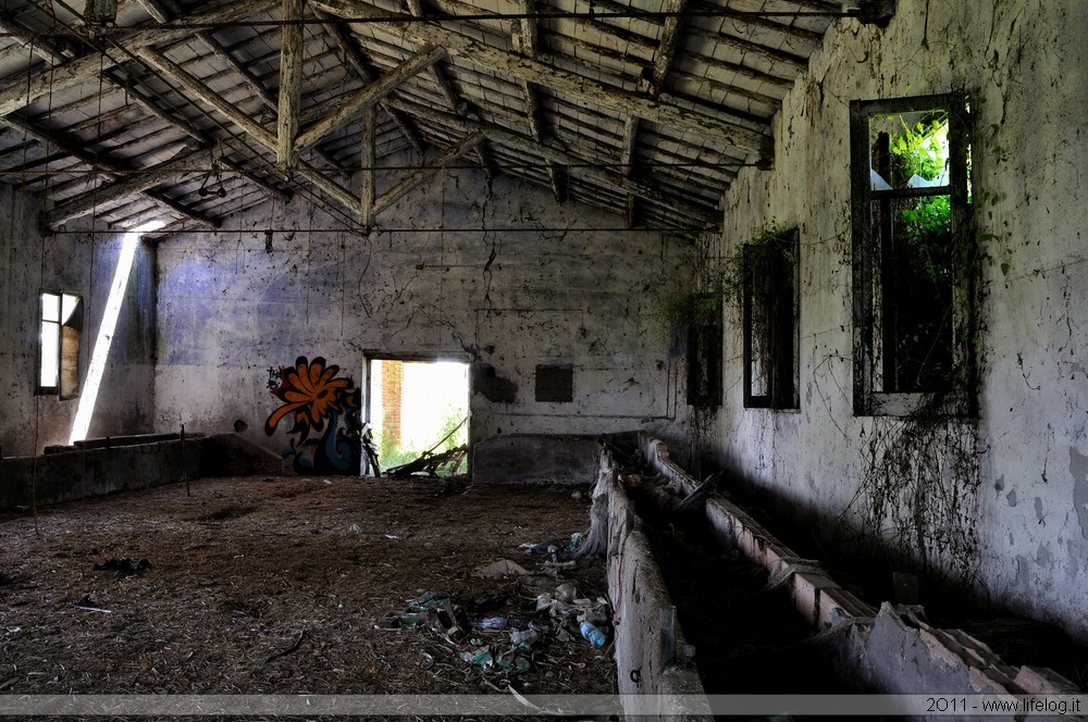 Abandoned farm