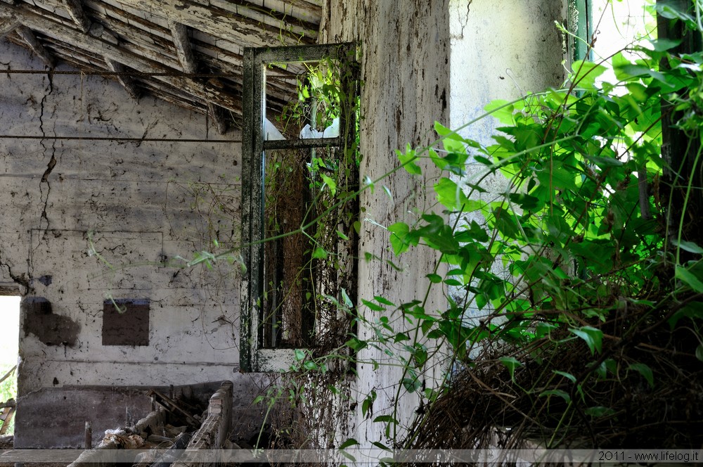 Abandoned farm