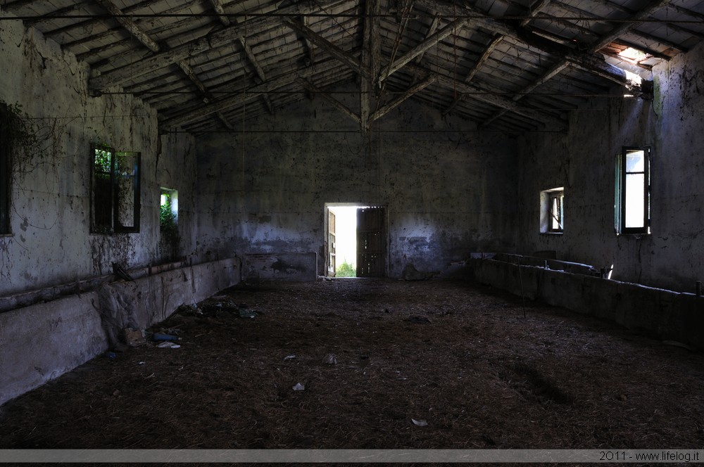 Abandoned farm