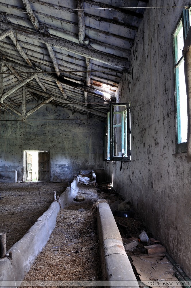 Abandoned farm