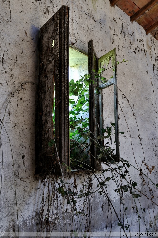 Abandoned farm