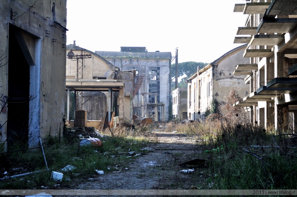 Abandoned pharmaceutical plant