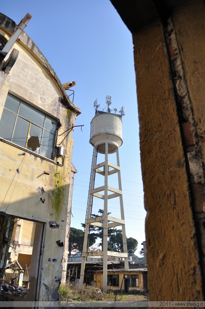 Abandoned pharmaceutical plant