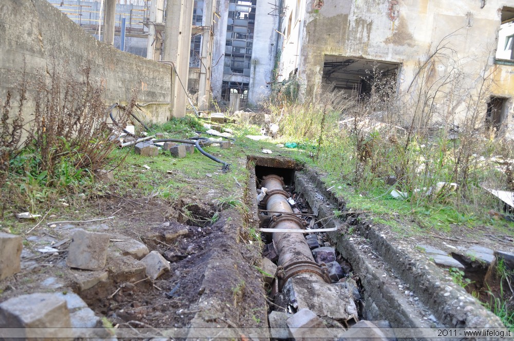 Abandoned pharmaceutical plant