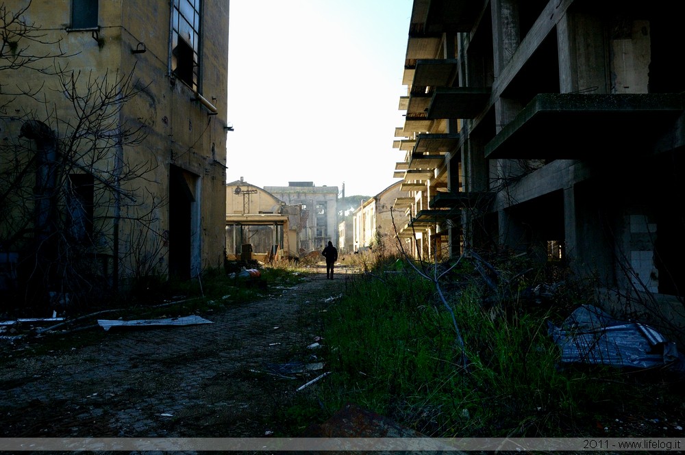 Abandoned pharmaceutical plant