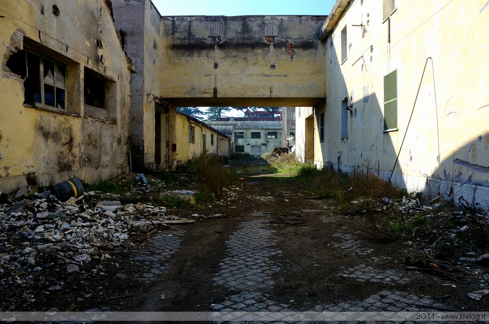 Abandoned pharmaceutical plant