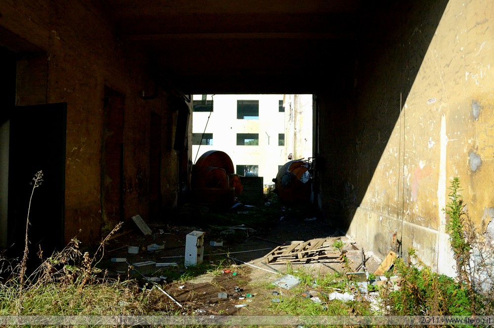 Abandoned pharmaceutical plant