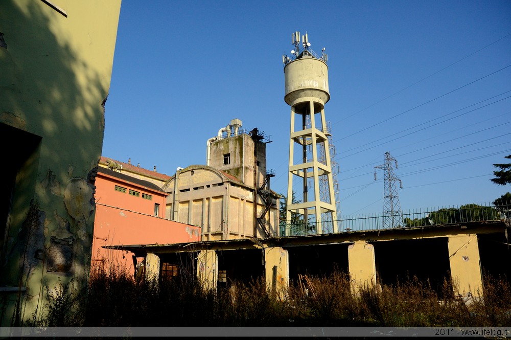 Abandoned pharmaceutical plant