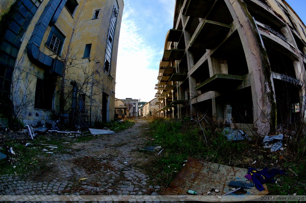 Abandoned pharmaceutical plant