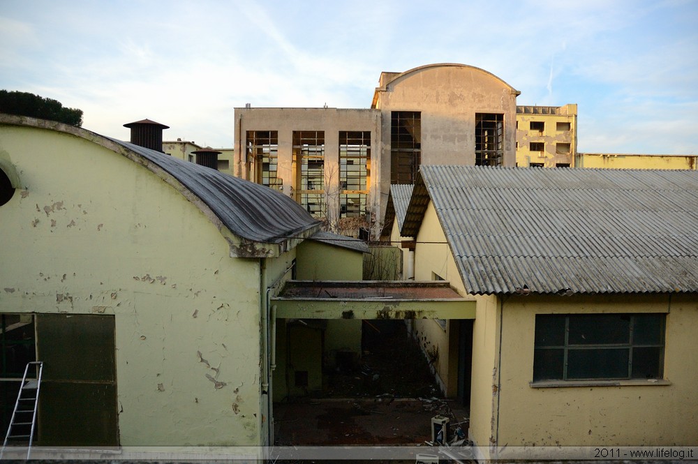 Abandoned pharmaceutical plant