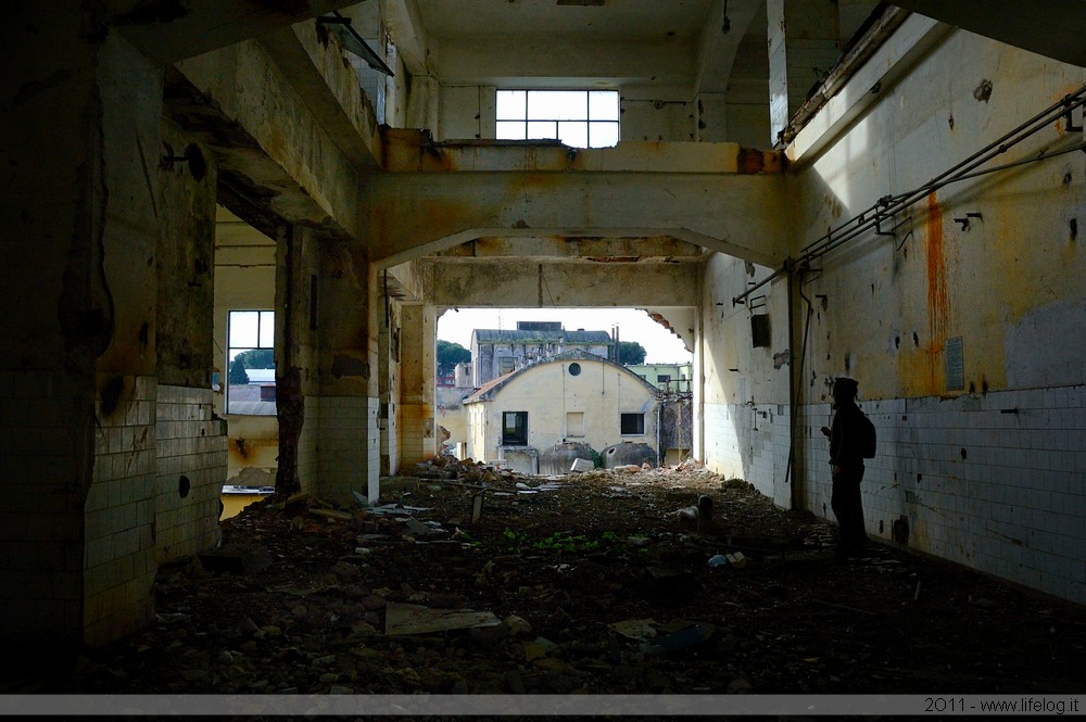 Abandoned pharmaceutical plant