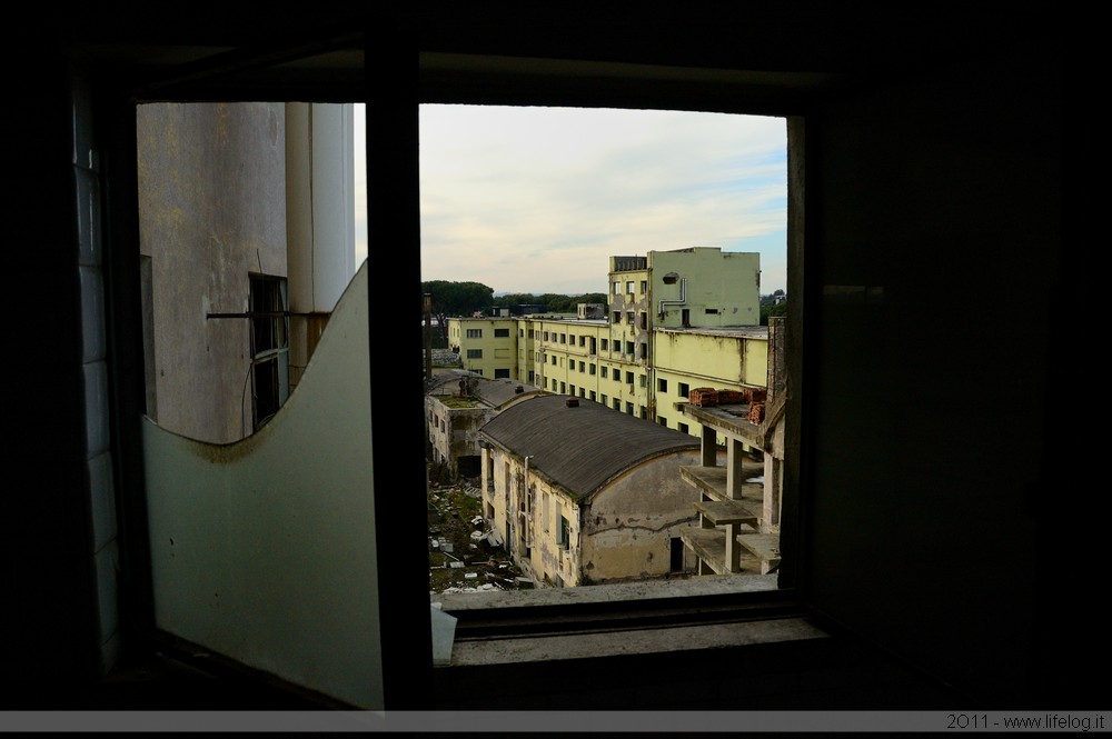 Abandoned pharmaceutical plant