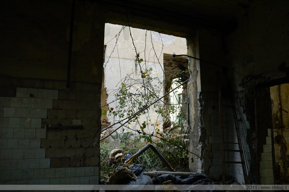 Abandoned pharmaceutical plant