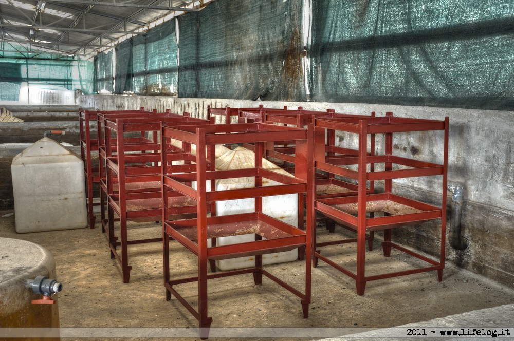 Shellfish farming plant