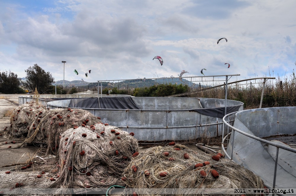 Shellfish farming plant