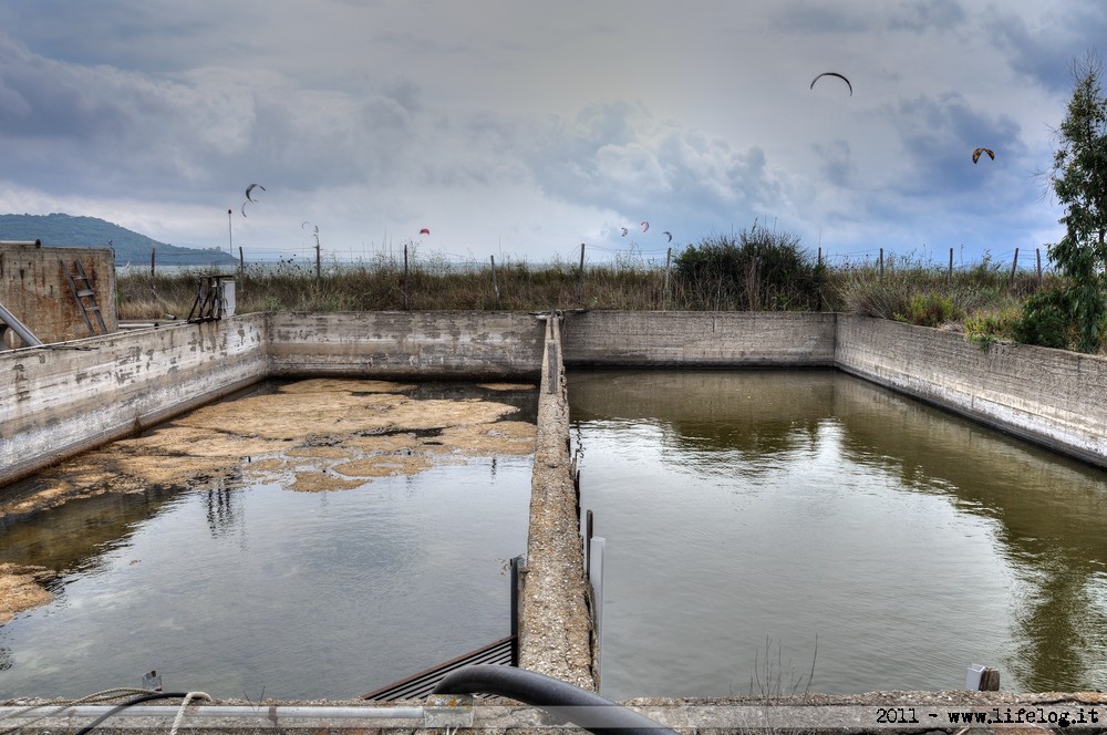 Shellfish farming plant