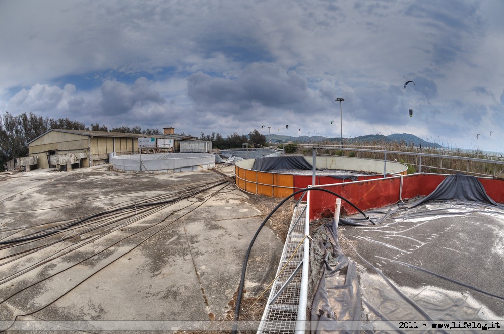 Shellfish farming plant