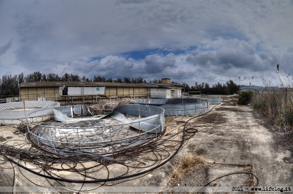 Shellfish farming plant