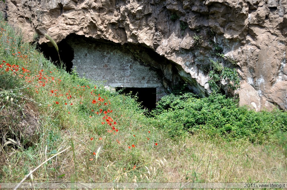 Tobacco leaves desiccation cave