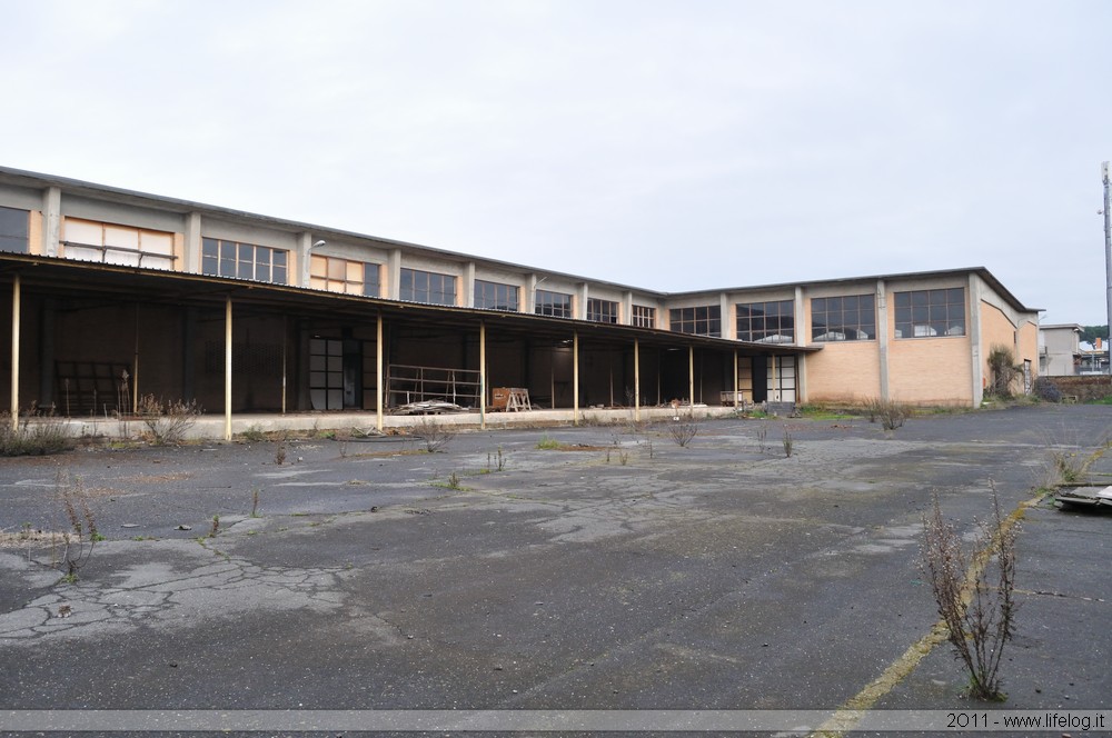 Abandoned wooden products factory