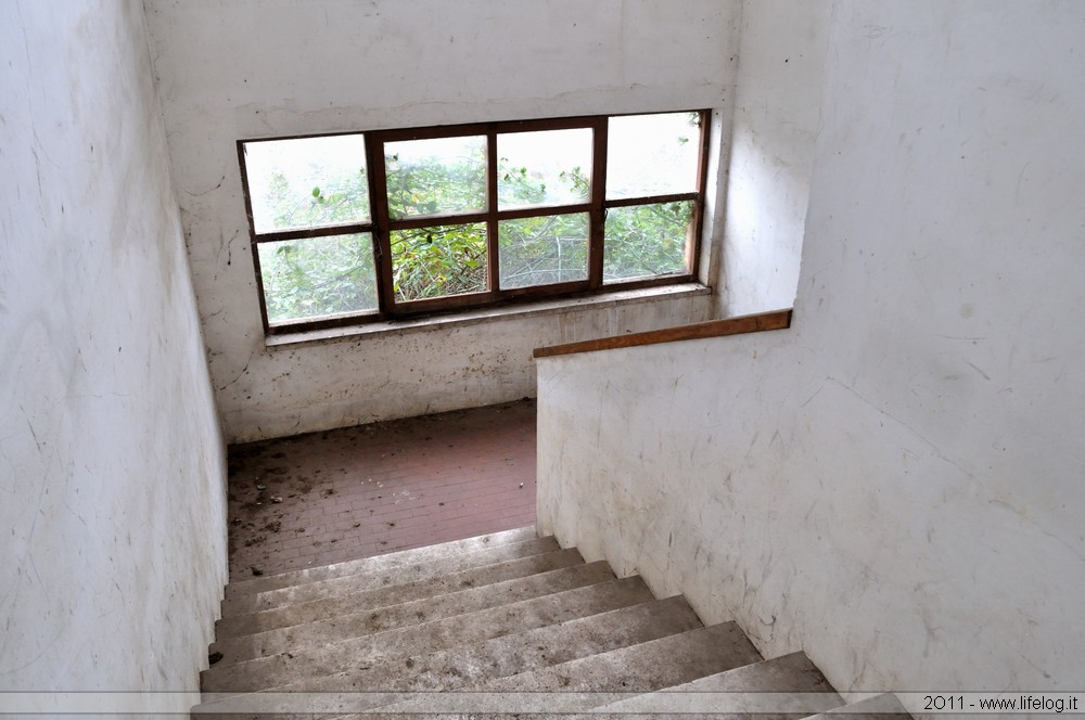 Abandoned wooden products factory