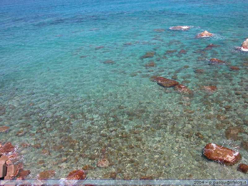 Ischia - Pietromassimo Pasqui 2004