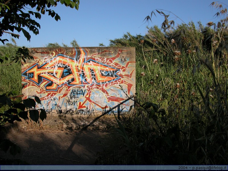 Campo Ascolano (Roma) - Pietromassimo Pasqui 2004