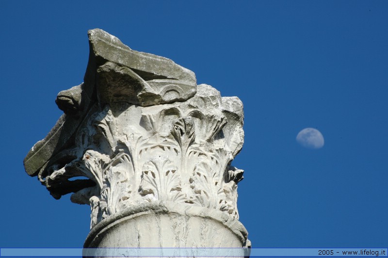 Ostia Antica (RM) - Pietromassimo Pasqui 2005