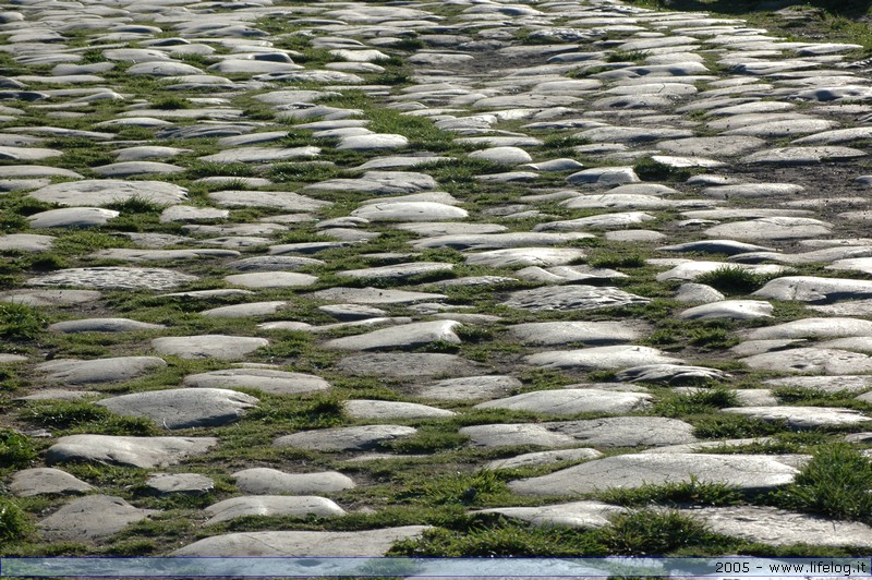 Ostia Antica (RM) - Pietromassimo Pasqui 2005