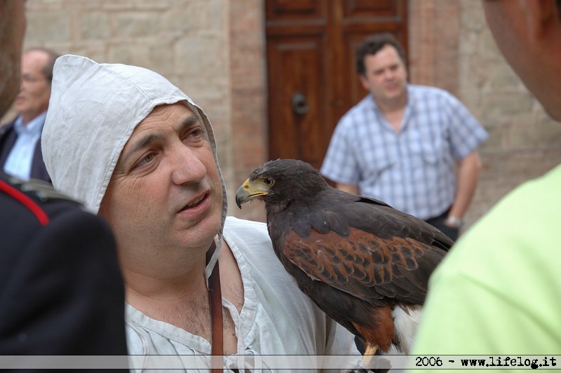 Falconiere presente per la Corsa alla Spada - Camerino (MC) - Pietromassimo Pasqui 2006