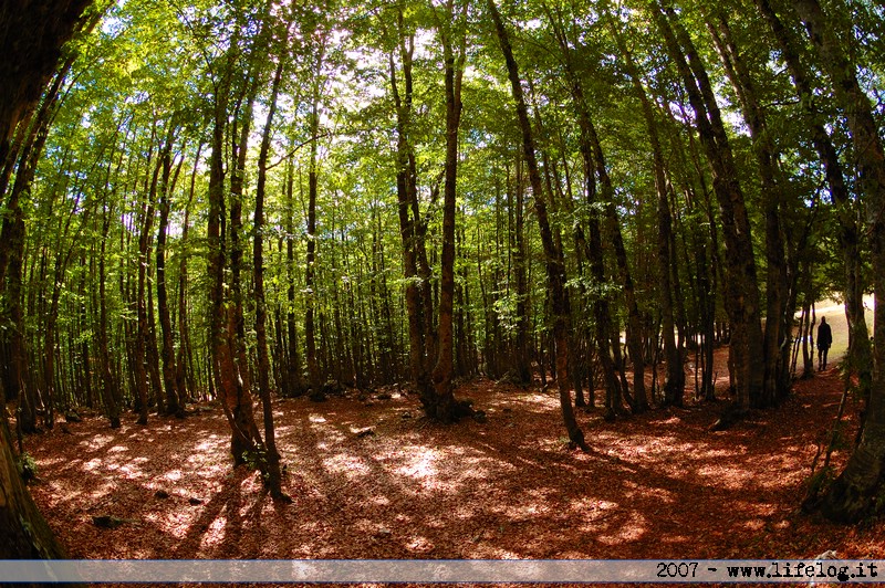 Abruzzo (Italia) - Pietromassimo Pasqui 2007