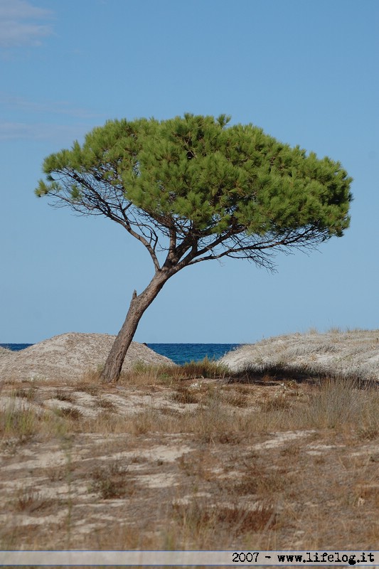 Budoni - Sardegna - Pietromassimo Pasqui 2007