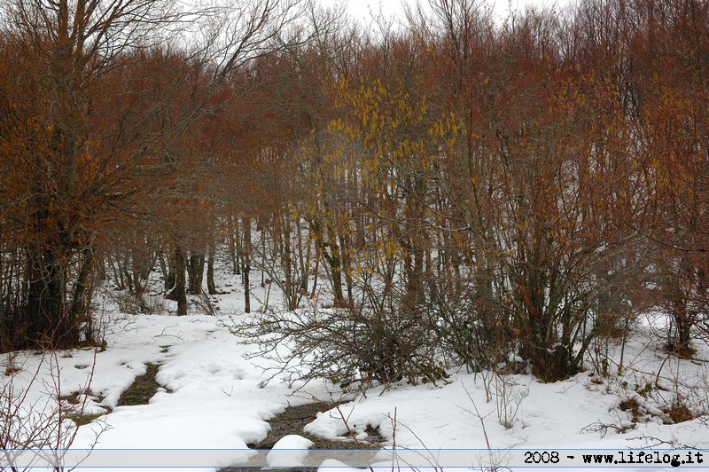 Abruzzo - Italia - Pietromassimo Pasqui 2008