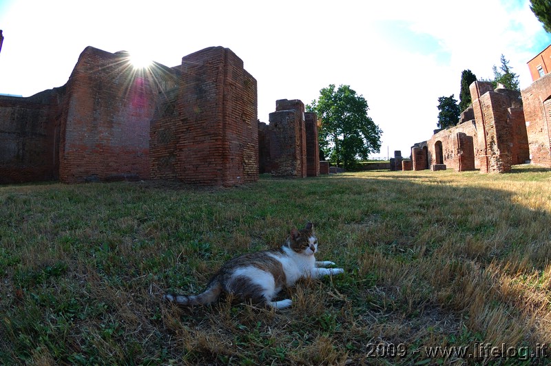 Il guardiano (Ostia Antica - RM) - Pietromassimo Pasqui 2009