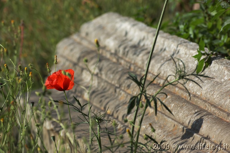 Ostia Antica - RM - Pietromassimo Pasqui 2009