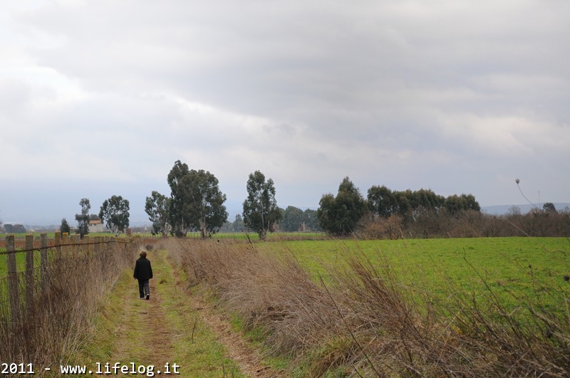 Norchia (VT) - Pietromassimo Pasqui 2011