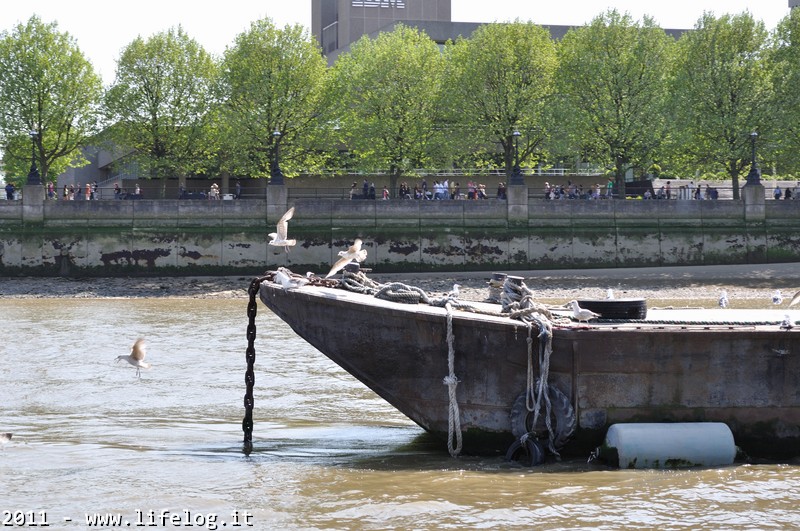 Thames - London UK - Pietromassimo Pasqui 2011